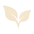 Two cream-coloured leaves sprouting from a stem.
